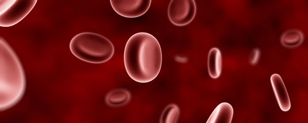 Blood Cells 2560 x 1024 from dualscreenwallpaper.com