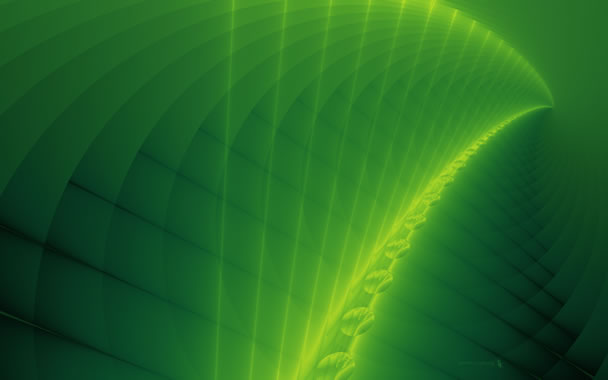 Green Spine 2560 x 1600 by Blatte's Backgrounds