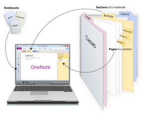 OneNote for note taking